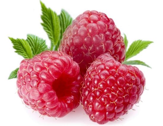تمشک Raspberry