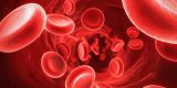 کم خونی Anemia