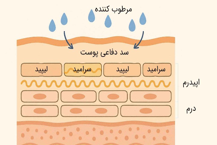 مرطوب کننده