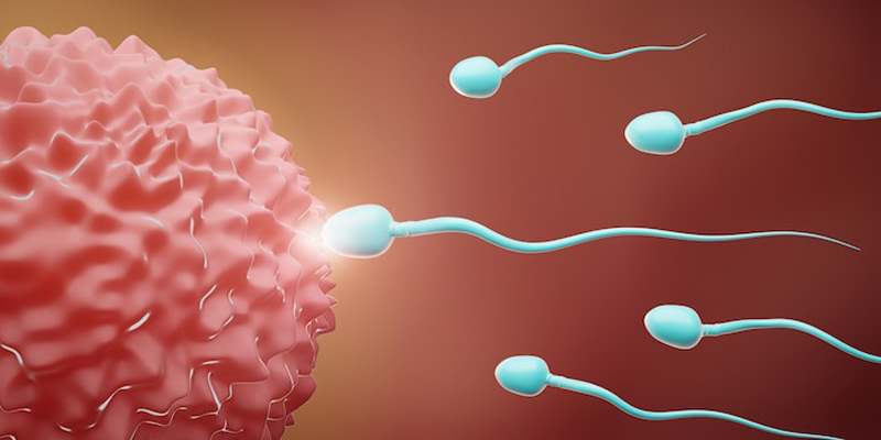 آیا امکان بارداری با اسپرم کم تحرک وجود دارد؟