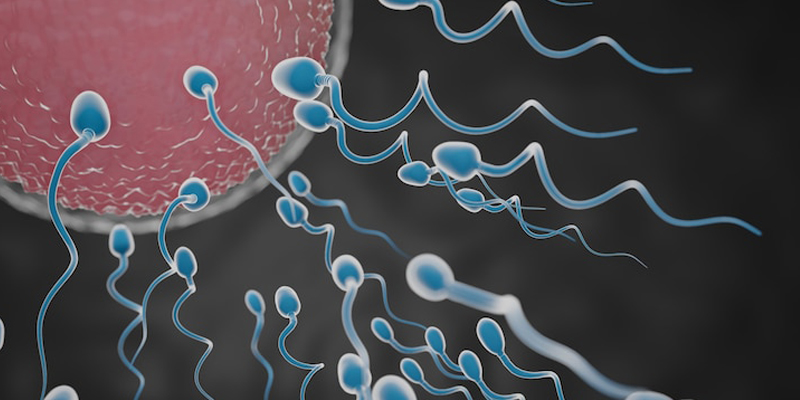 تصمیم نهایی: گام‌های موثر برای درمان کم تحرکی اسپرم و باروری طبیعی