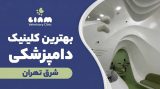 ویزیت پرندگان در کلینیک دامپزشکی لیام