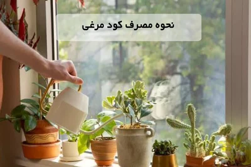 نحوه مصرف کود مرغی